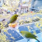 007-e79d1f71-0cad-4cd5-bae6-baa4f55050c7