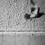 025-e79d1f71-0cad-4cd5-bae6-baa4f55050c7