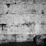 027-e79d1f71-0cad-4cd5-bae6-baa4f55050c7