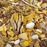 029-e79d1f71-0cad-4cd5-bae6-baa4f55050c7