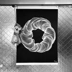 041-e79d1f71-0cad-4cd5-bae6-baa4f55050c7