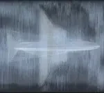 042-e79d1f71-0cad-4cd5-bae6-baa4f55050c7