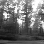 046-e79d1f71-0cad-4cd5-bae6-baa4f55050c7